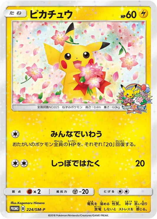 Pikachu 224/SM\u002DP P