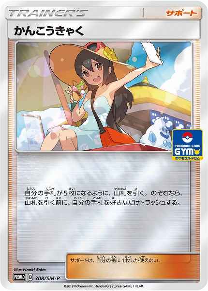 Sightseer 308/SM\u002DP P