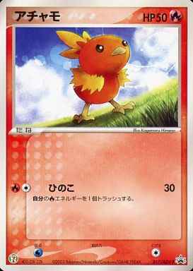 Torchic