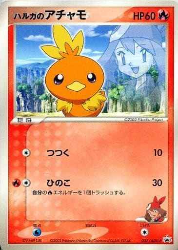 Torchic