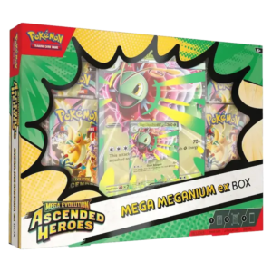 Coffret Méga-Méganium Ex